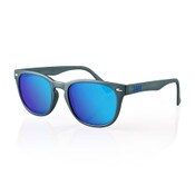 NVS Sunglasses Gloss Black Frame